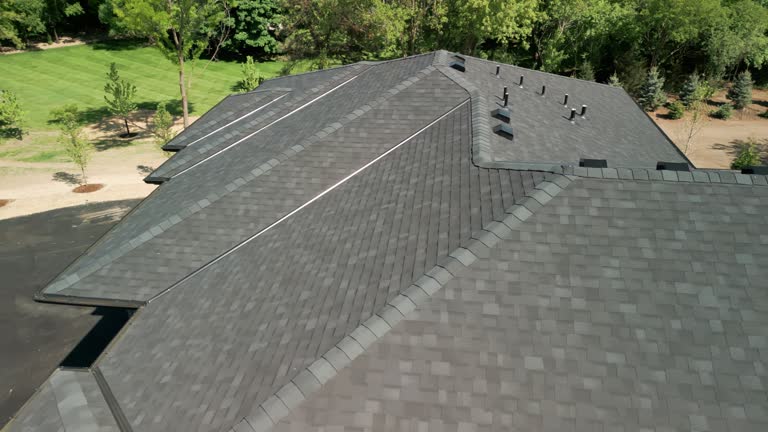 Best Roof Coating and Sealing  in Glendale Heights, IL