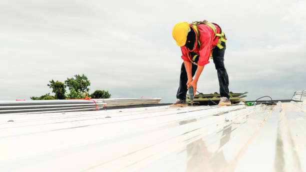 Roof Coating Services in Glendale Heights, IL