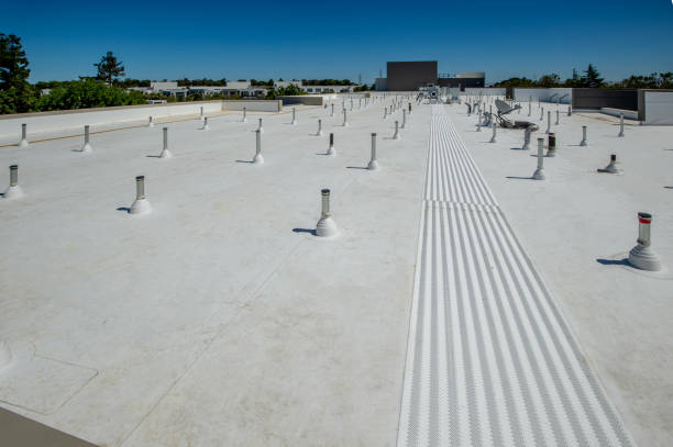 Professional Roofing Services in Glendale Heights, IL